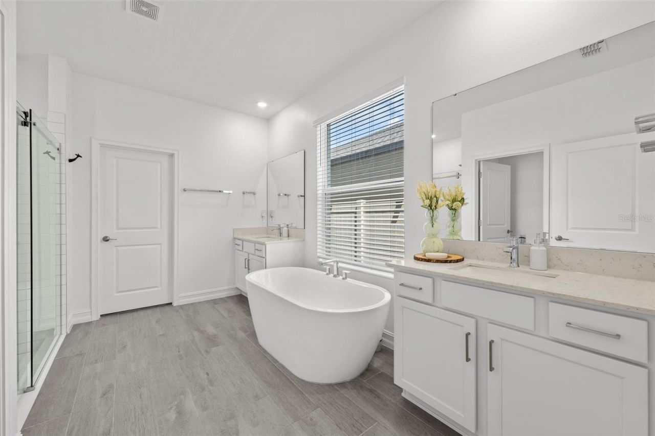 18242 Serene Lake Loop, Lutz, FL 33548 Photo