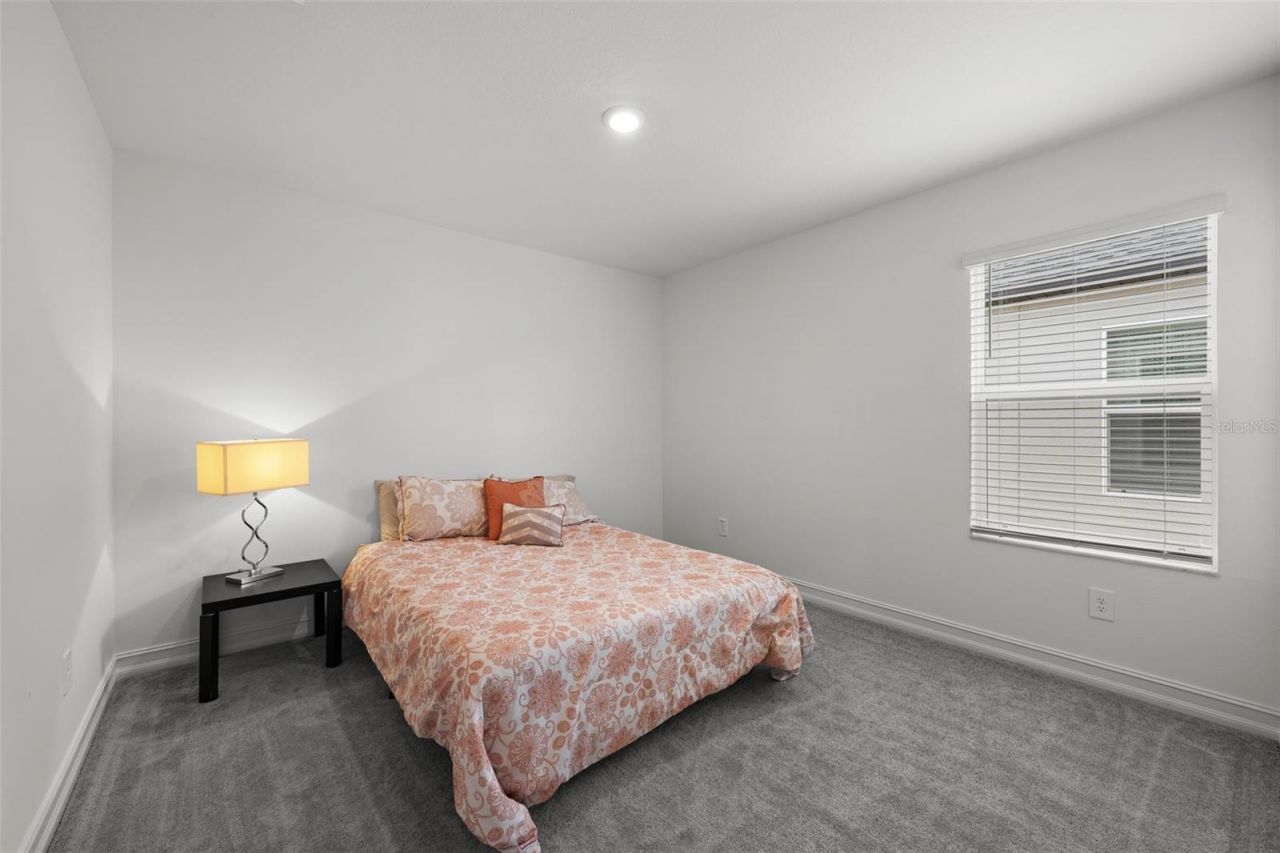 18242 Serene Lake Loop, Lutz, FL 33548 Photo