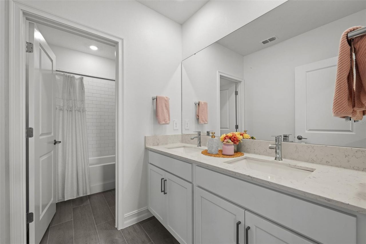 18242 Serene Lake Loop, Lutz, FL 33548 Photo