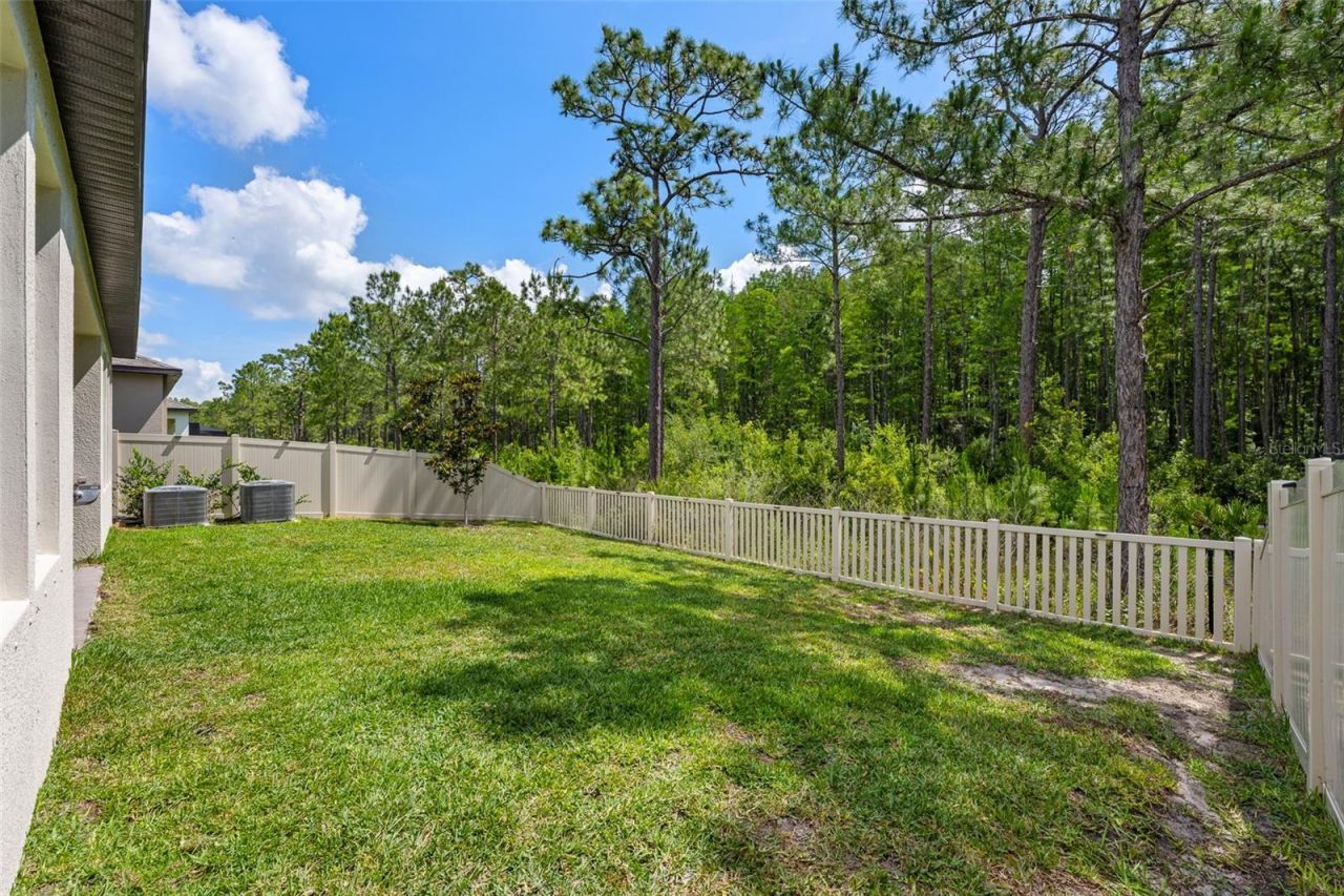 18242 Serene Lake Loop, Lutz, FL 33548 Photo