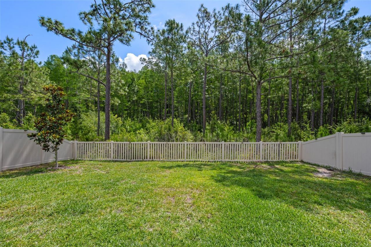 18242 Serene Lake Loop, Lutz, FL 33548 Photo
