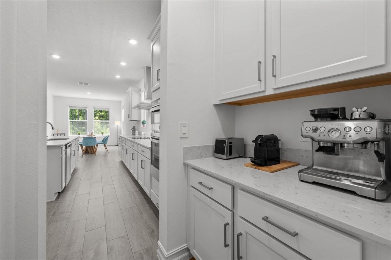 18242 Serene Lake Loop, Lutz, FL 33548 Photo
