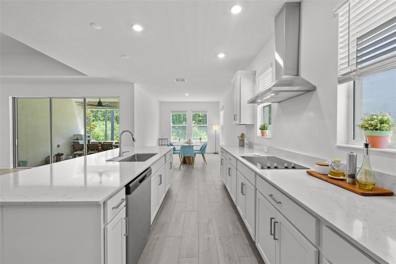 18242 Serene Lake Loop, Lutz, FL 33548 Photo