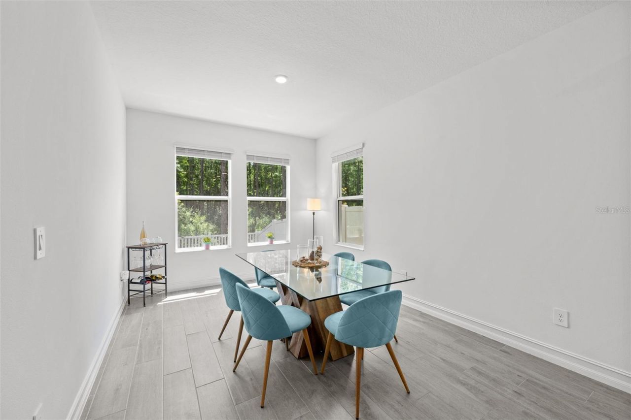 18242 Serene Lake Loop, Lutz, FL 33548 Photo