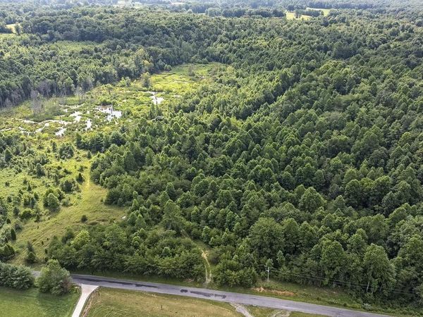 329 Flower Garden Road , Grandview, TN 37337