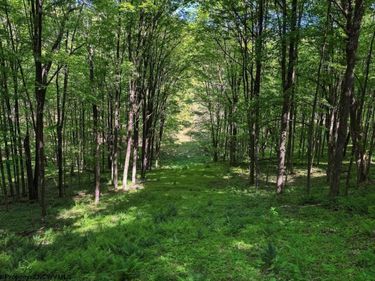 975 Whiteman Run Road, Philippi, WV 26416