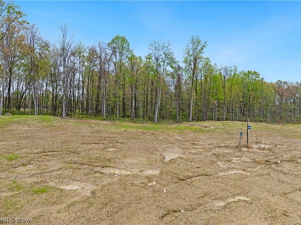 9527 River Birch Run , Brecksville, OH 44141