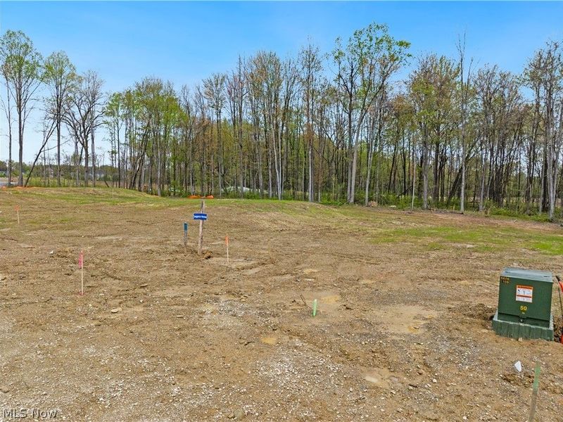 9527 River Birch Run, Brecksville, OH 44141 Photo 2