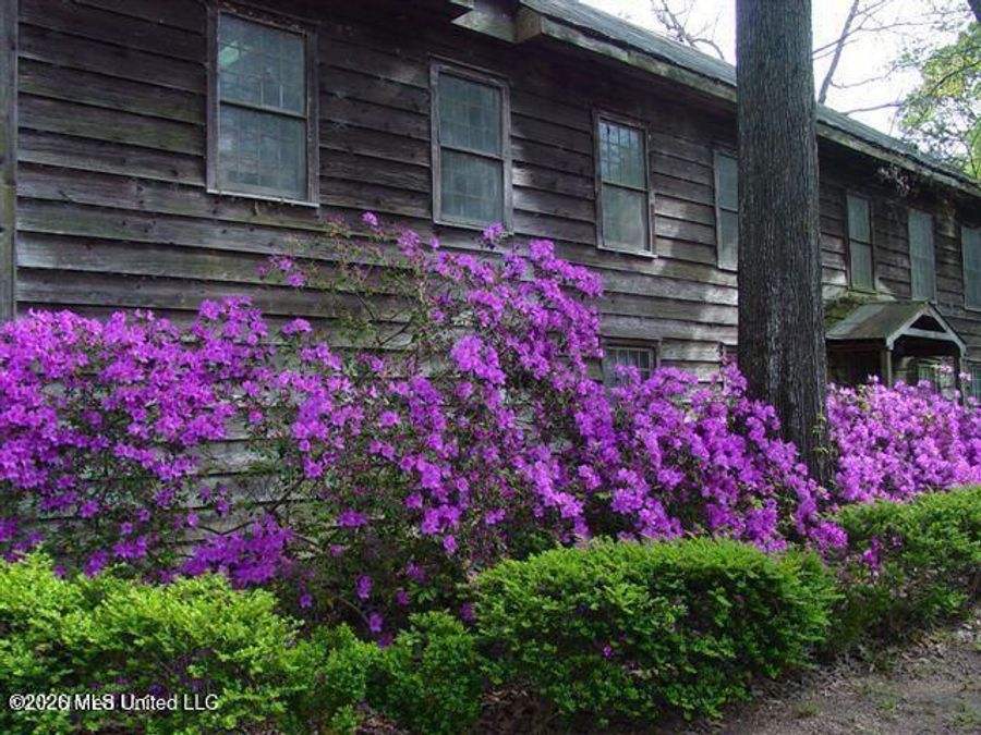 Property Image 91