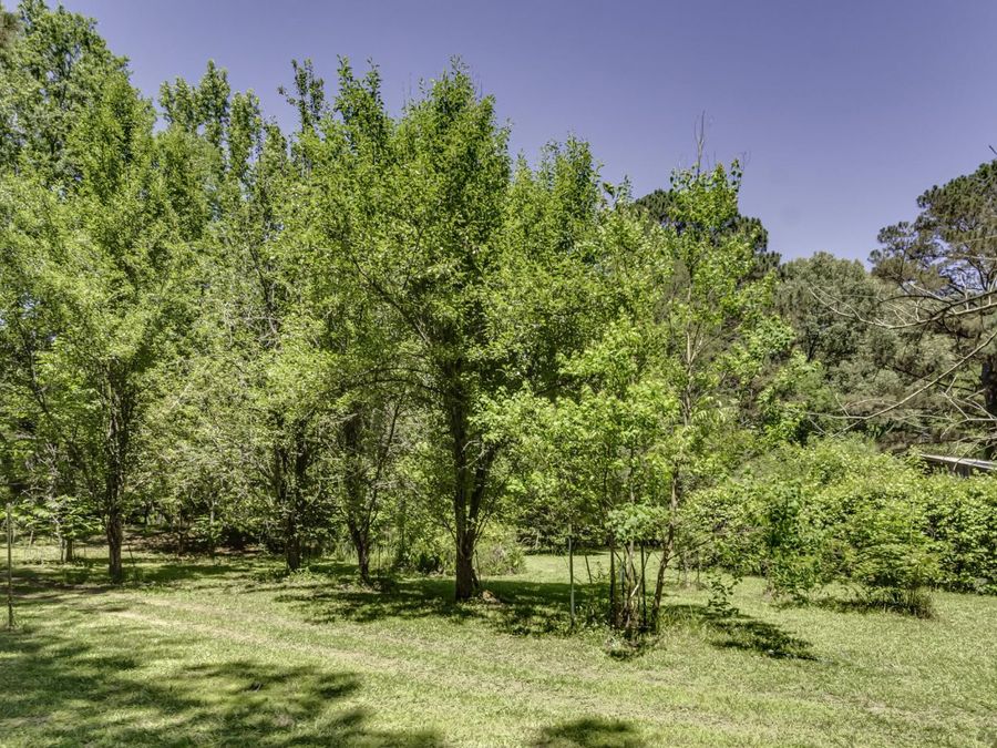 Property Image 93