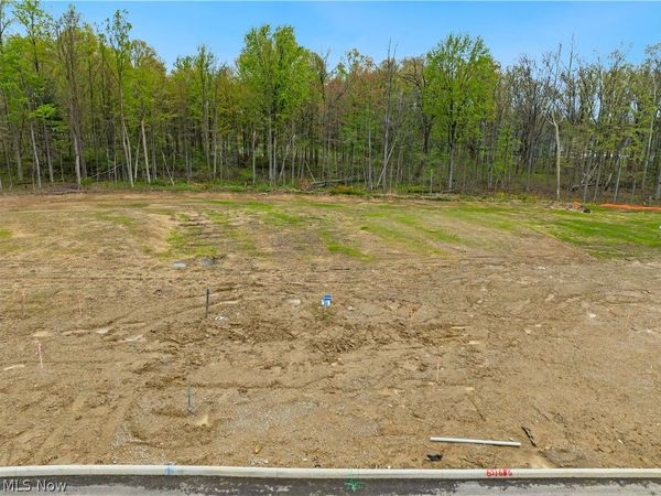 9531 River Birch Run , Brecksville, OH 44141