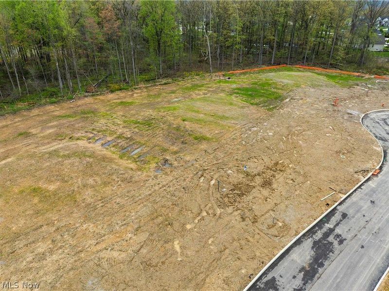 9531 River Birch Run, Brecksville, OH 44141 Photo 2