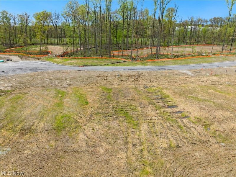 9531 River Birch Run, Brecksville, OH 44141 Photo 3