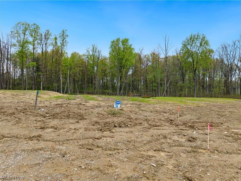 9531 River Birch Run, Brecksville, OH 44141 Photo 5