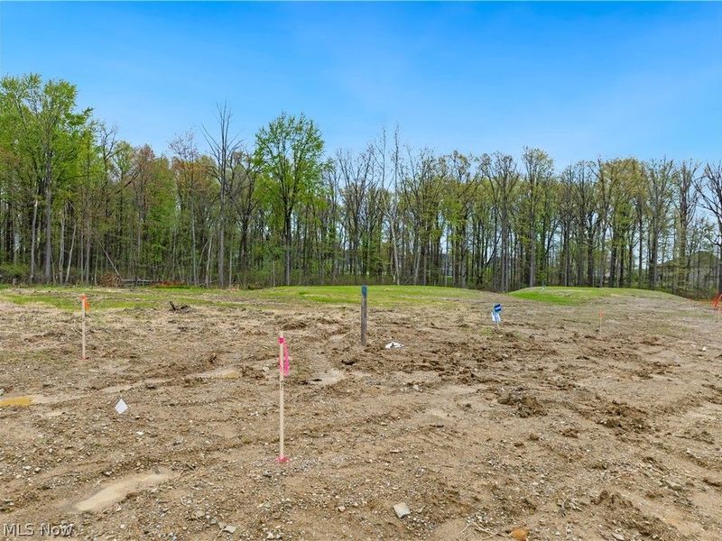 9531 River Birch Run, Brecksville, OH 44141 Photo 6