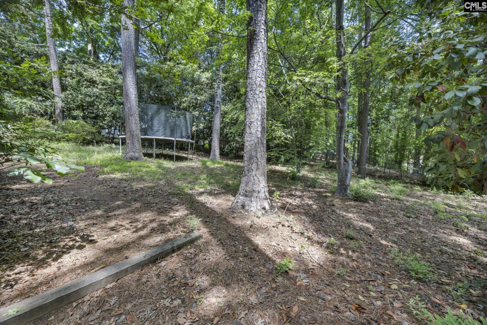 1608 Shortstream Road  Photo 27