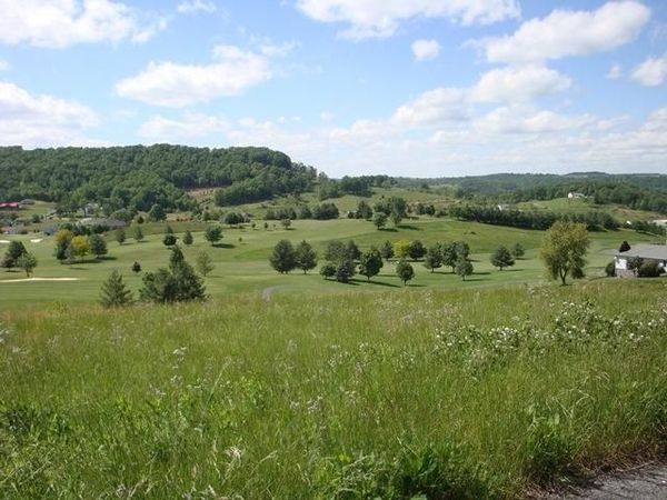 Birdie Drive, Peterstown, WV 24963