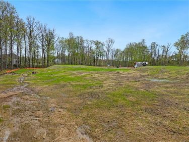 9533 River Birch Run, Brecksville, OH 44141