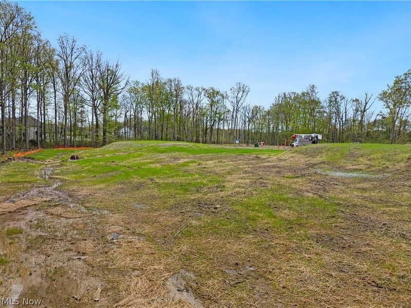9533 River Birch Run, Brecksville, OH 44141 Photo 1
