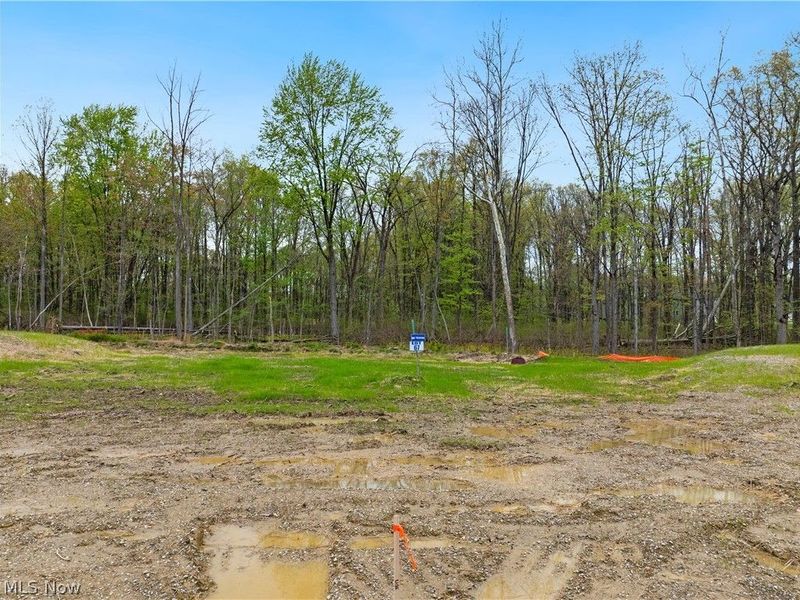 9533 River Birch Run, Brecksville, OH 44141 Photo 11