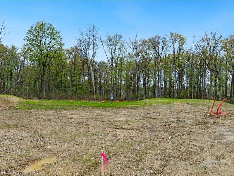 9533 River Birch Run, Brecksville, OH 44141 Photo 12