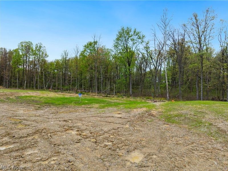 9533 River Birch Run, Brecksville, OH 44141 Photo 13