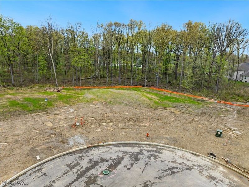 9533 River Birch Run, Brecksville, OH 44141 Photo 2