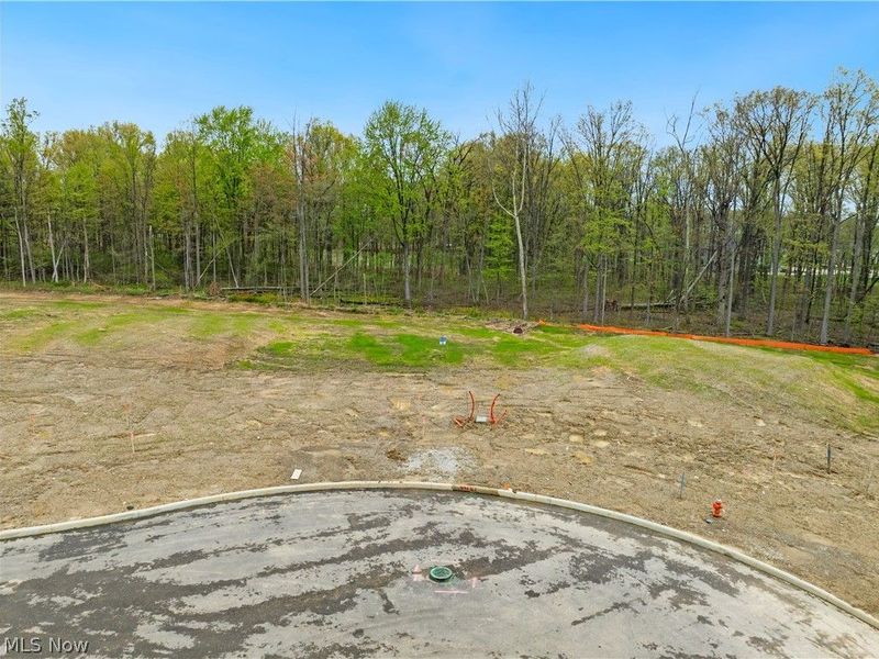 9533 River Birch Run, Brecksville, OH 44141 Photo 3