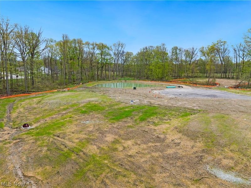 9533 River Birch Run, Brecksville, OH 44141 Photo 4