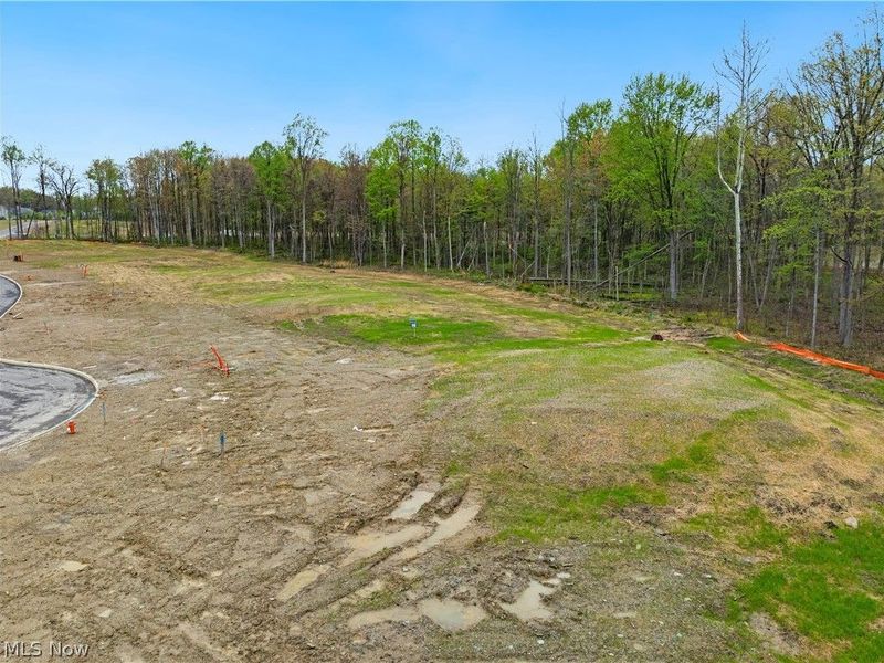 9533 River Birch Run, Brecksville, OH 44141 Photo 5