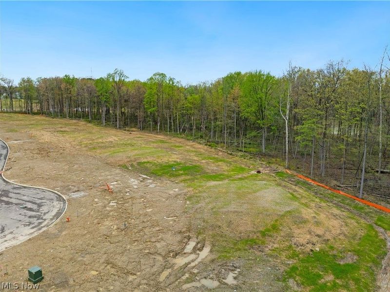 9533 River Birch Run, Brecksville, OH 44141 Photo 6