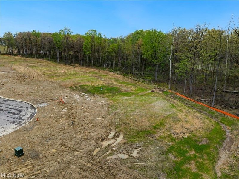 9533 River Birch Run, Brecksville, OH 44141 Photo 7