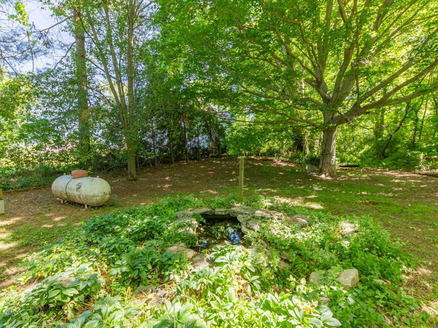 Property Image 47