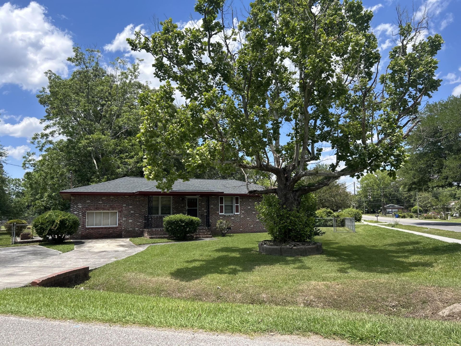 1300 White Drive Photo 5