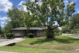 1300 White Drive photo 4