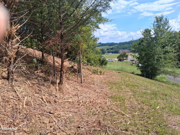 Lot 29 Splendor Way, Parrottsville, TN 37843
