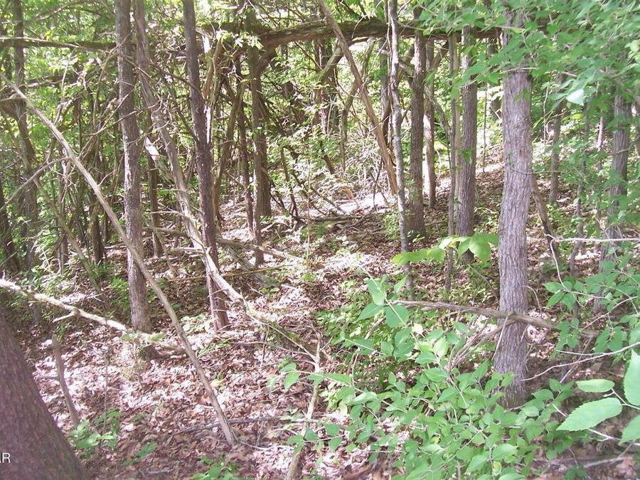 Property Image 6