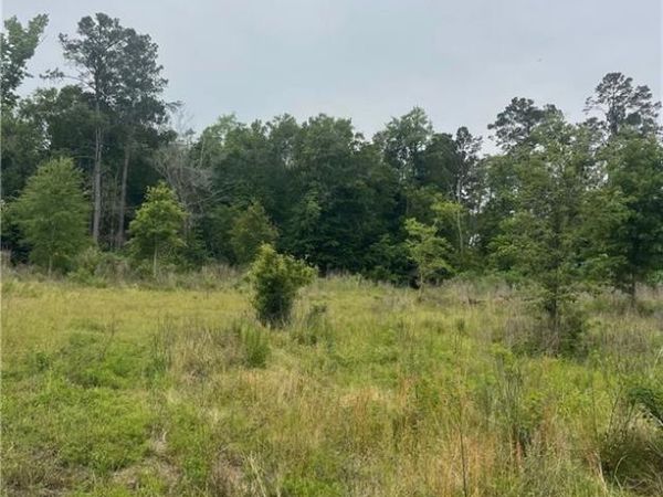 121 TEN MILE Road, Pitkin, LA 70656