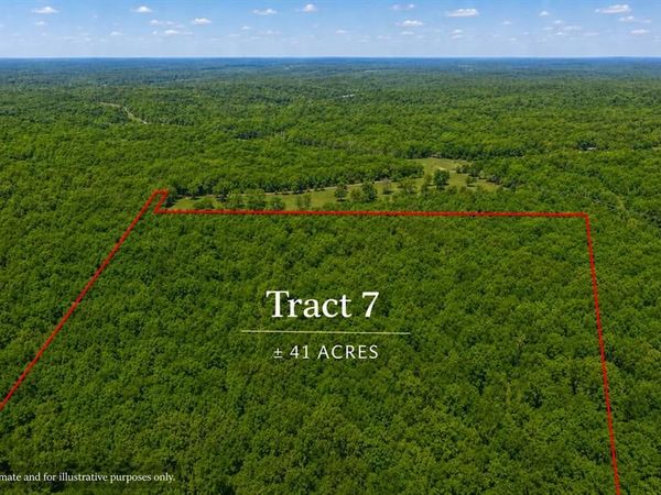 Tract 7 County Rd 4210 , Salem, MO 65560