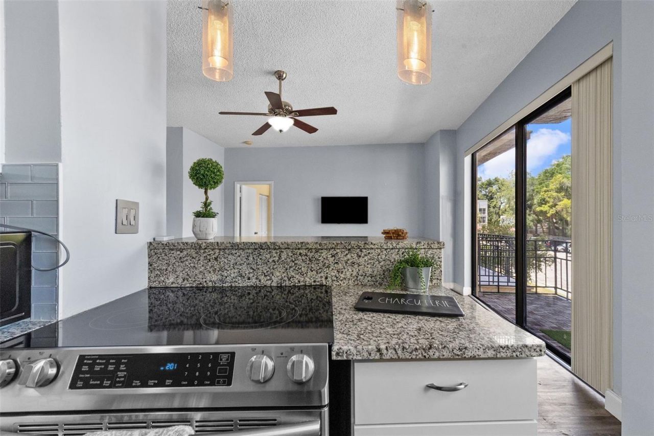 2109 Bayshore Boulevard, Unit 205, Tampa, FL 33606 Photo