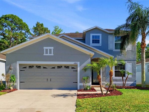 12832 SAULSTON PLACE, HUDSON, FL 34669