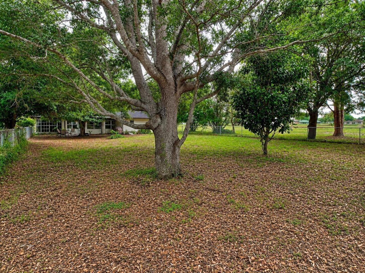7317 Lime Tree Court, Sebring, FL 33876 Photo