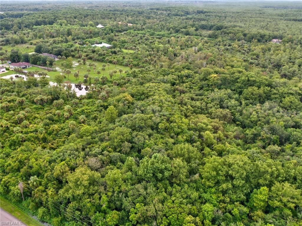 Shady Hollow Boulevard E, Naples, FL 34120 Photo
