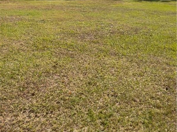 COCONUT COVE PL , VALRICO, FL 33596