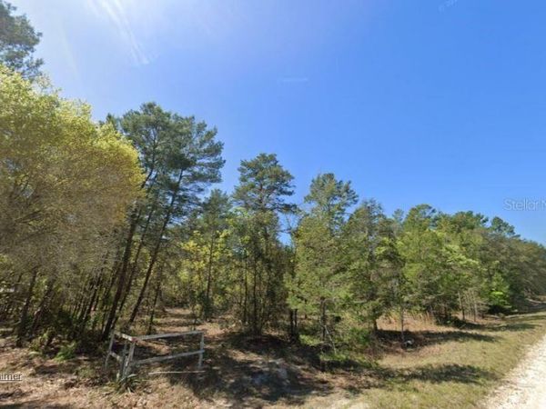 835 DEERWOOD AVENUE , PERRY, FL 32348