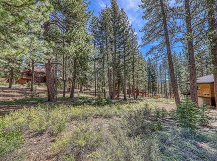 11729 Coburn Drive, Truckee, CA 96161 Photo