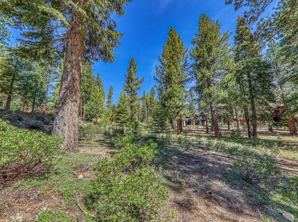 11729 Coburn Drive, Truckee, CA 96161 Photo