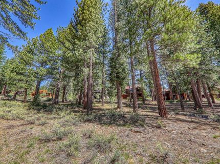 11729 Coburn Drive, Truckee, CA 96161 Photo