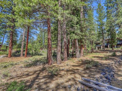 11729 Coburn Drive, Truckee, CA 96161 Photo