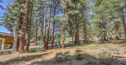 11729 Coburn Drive, Truckee, CA 96161 Photo